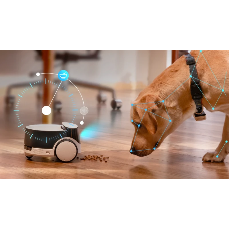 EnaBot Rola PetPal robot z kamerą dla psów i kotów, monitorowanie karmienie