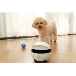 EnaBot Rola Mini domowy, mobilny robot monitorujący kamera rozrywka audio