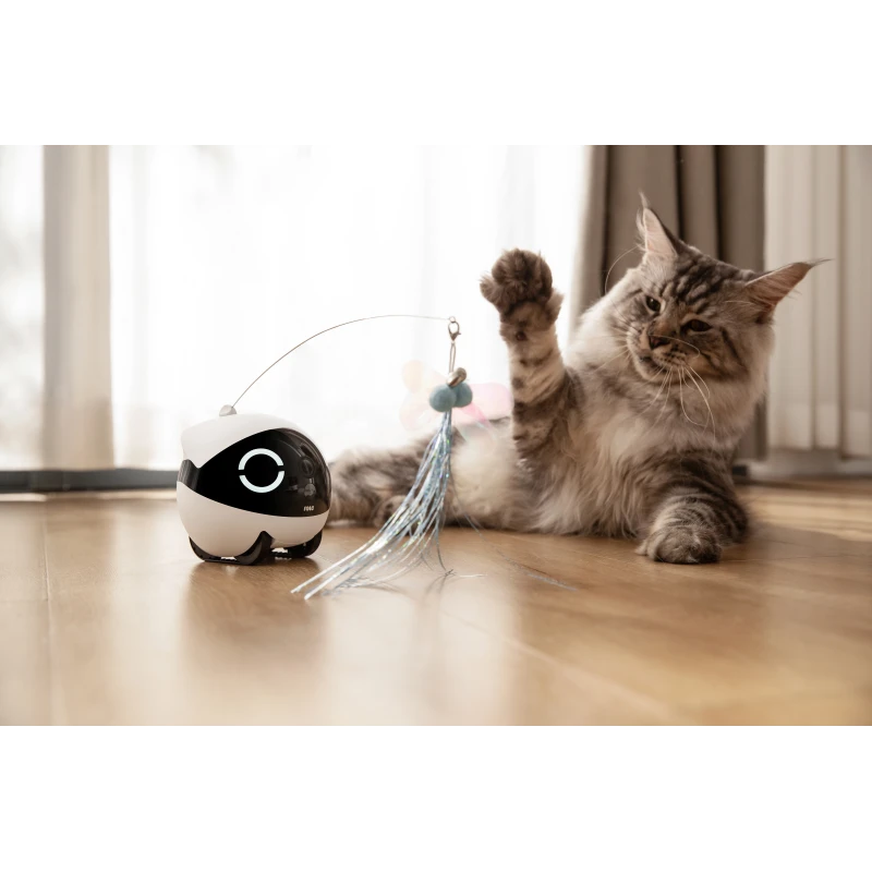 EnaBot Rola Mini domowy, mobilny robot monitorujący kamera rozrywka audio