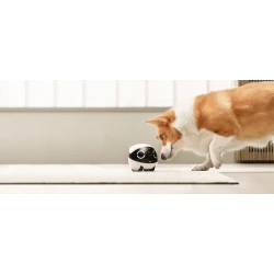 EnaBot Rola Mini domowy, mobilny robot monitorujący kamera rozrywka audio