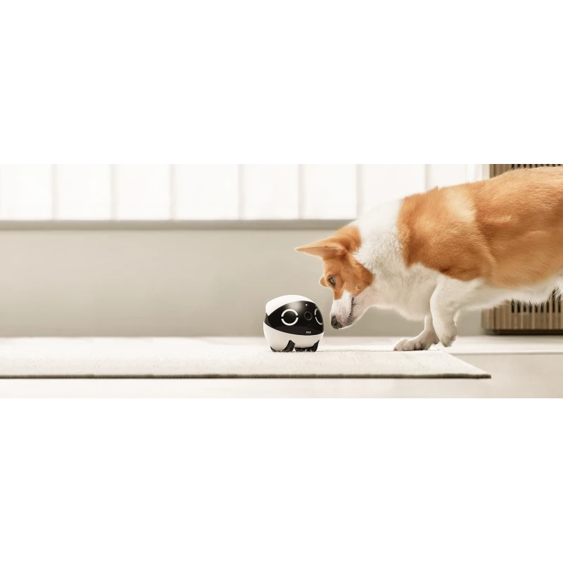 EnaBot Rola Mini domowy, mobilny robot monitorujący kamera rozrywka audio