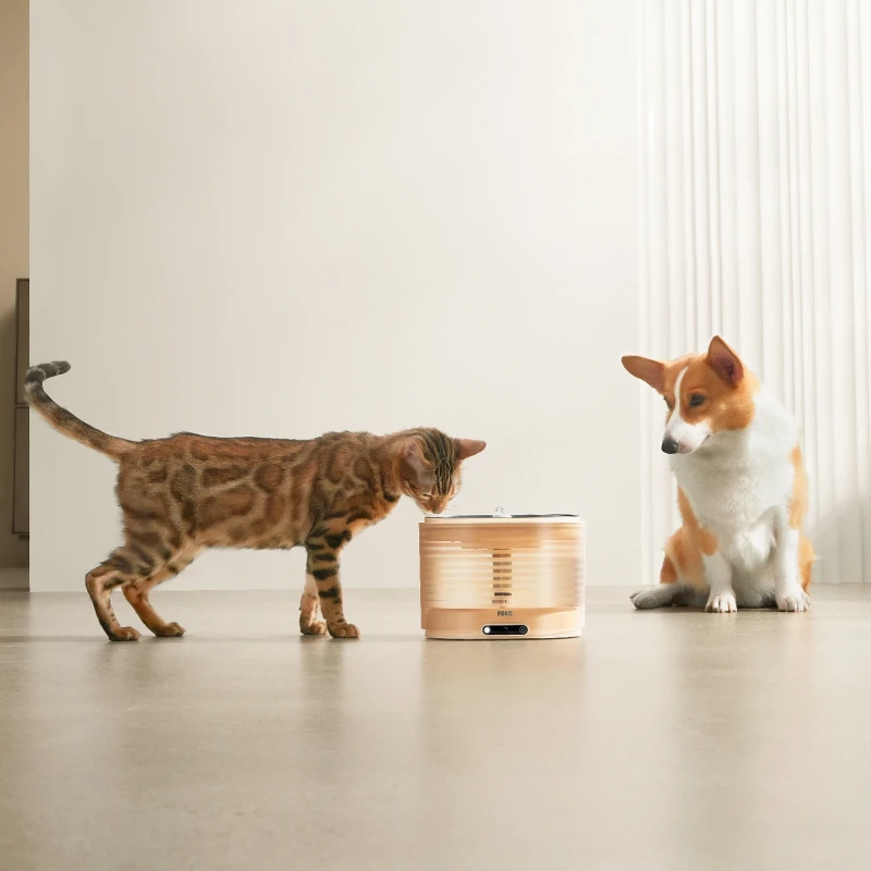 EnaBot Rola Fountain przewodowa fontanna / poidełko z filtrem dla kotów