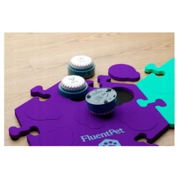 FluentPet Speek Up Buttons zestaw 4 przycisków do komunikacji z psem/kotem