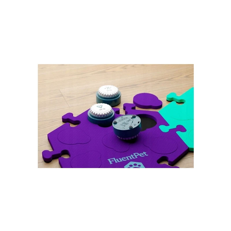 FluentPet Speek Up Buttons zestaw 4 przycisków do komunikacji z psem/kotem