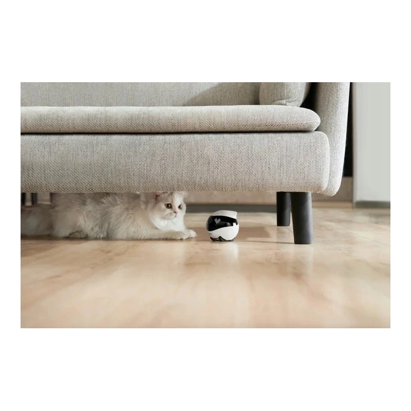 EnaBot EBO AIR 2 domowy, mobilny robot monitorujący kamera rozrywka audio